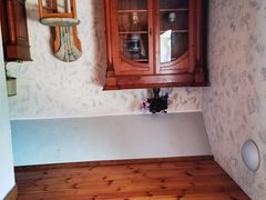 -金山农民画村-枫泾波兰倒置屋