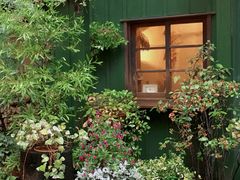 -三鹰之森吉卜力美术馆