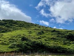 -大姆山草场