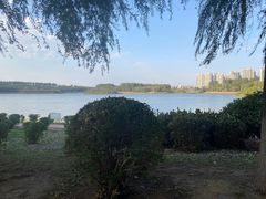 -丁香湖公园