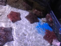 -多彩贵州城极地海洋世界