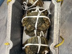 -蟹天蟹地农家菜·阳澄湖大闸蟹(浅水湾店)