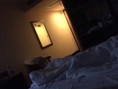 -上海华美国际酒店(新天地人民广场店)