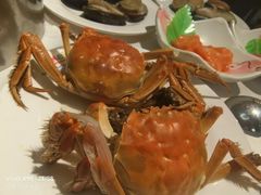 -领鲜活海鲜榴莲自助火锅(东门店)