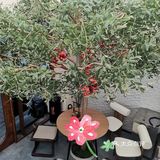 夏日甜品大搜索，媲美正餐的糖水套餐～