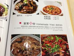 -天津医科大学第二医院