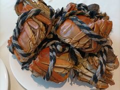 -五月罗马海鲜自助餐厅(陆家嘴店)