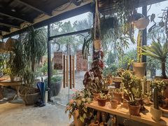 -自由生长植物工作室(深港花卉中心店)