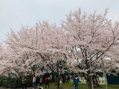 -闵行体育馆-停车场