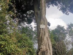 -金堂县云顶石城风景区