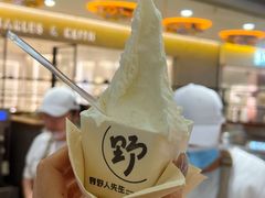 -野人先生Gelato(上海长宁龙之梦店)