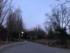 -北极寺公园