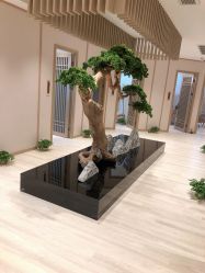 -HQ半永久纹绣纹眉