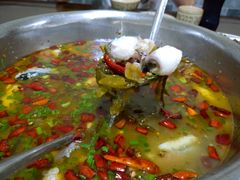 -陈有良尖椒鸡(渝中示范店)