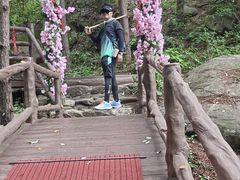 -王顺山国家森林公园