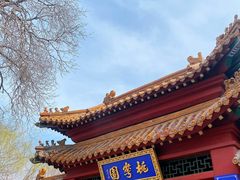 -桃花堤公园