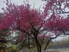 -陕西华浮宫酒店(未央湖公园店)