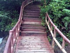 -银瓶嘴森林公园