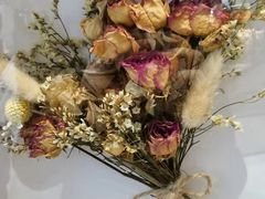 -植物学家的女儿(北马道巷店)