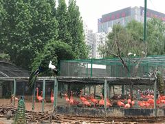 -郑州市动物园