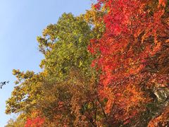 -丹东天桥沟景区