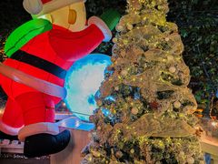 -弦月窗LUNETTE BY AMANDA(复兴路店)