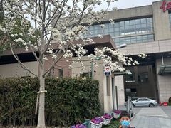 -上海交通大学医学院附属仁济医院(南院)