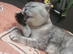 -悠米私人影院(街道口店)