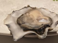 -Oyster Talks 四度蚝法餐厅