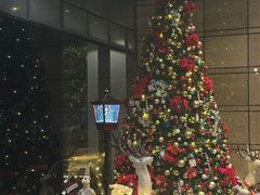 -上海外滩英迪格酒店