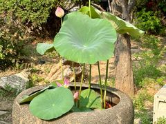 -隐食私房菜(渡口·光荣院南门·老街店)