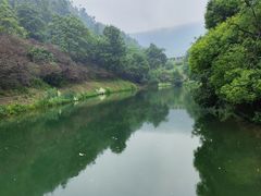 -桃花岭景区