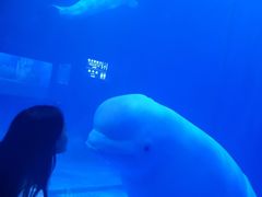 -多彩贵州城极地海洋世界