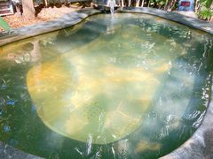 -厦门途易蓝罗约海景温泉酒店(园博苑地铁站店)