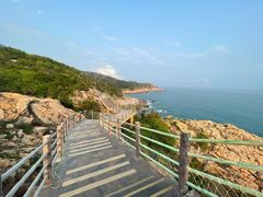 -广东惠东海龟国家级自然保护区