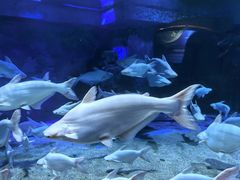 -成都浩海立方海洋公园