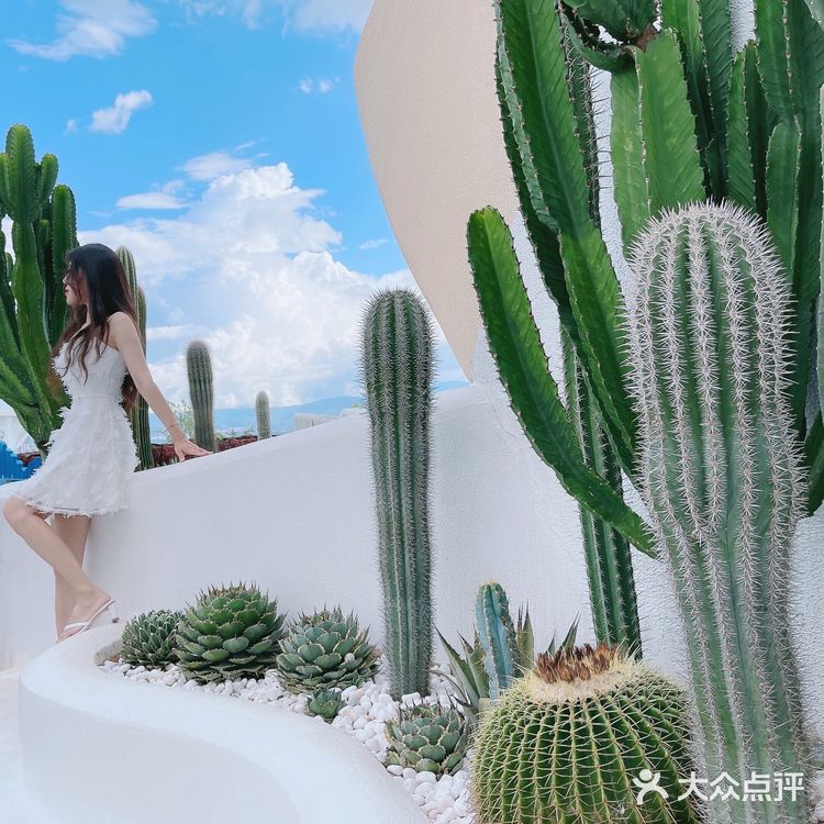大理｜无关风花雪月 只关于我
