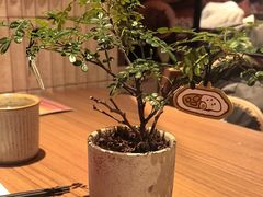 -CURRY YA 熟成咖哩專門店(深圳湾万象城店)