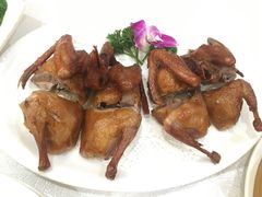 -老广新意(奥园店)