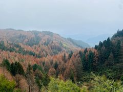 -山王坪喀斯特国家生态公园
