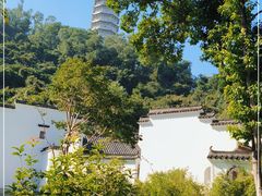 -深圳国际园林花卉博览园