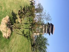 iphone_upload_pic-大湾区中央湿地公园