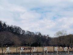 -高尔山公园