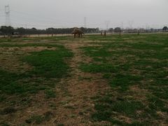 -嘉北郊野公园