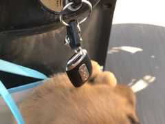 -pd派德宠物中心医院24H急重症·眼科中心·血液透析中心(嵩山北路店)