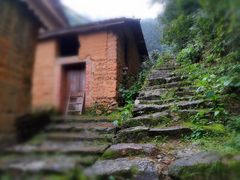 -杨家堂村