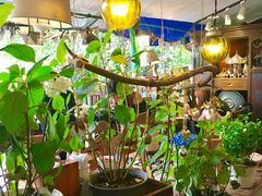 -懒鱼时光馆(沙坪坝店)
