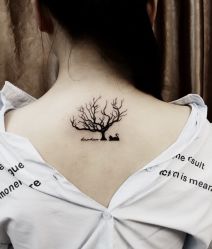 -明星刺青·洗纹身