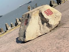 -上海滨江森林公园
