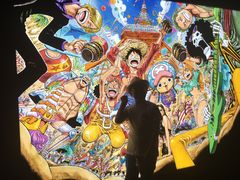 -东京塔海贼王主题公园